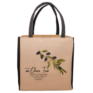 Bible Bag